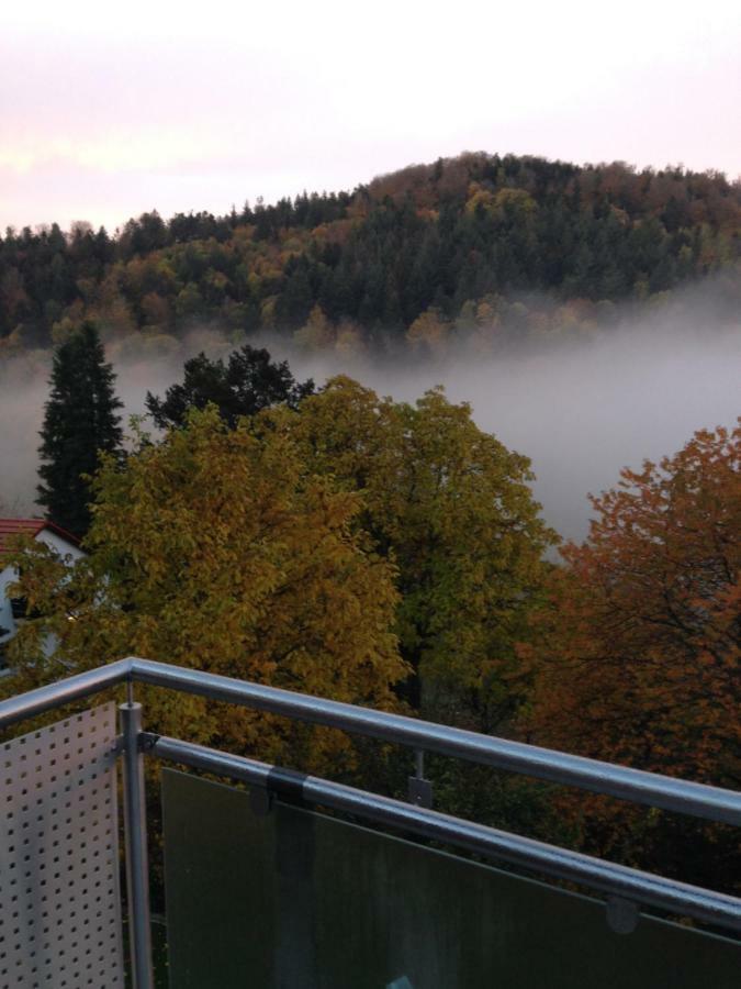 Apartment Sonnenterrasse Baden-Baden Eksteriør billede